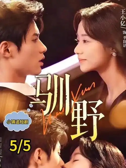 作品详情配图